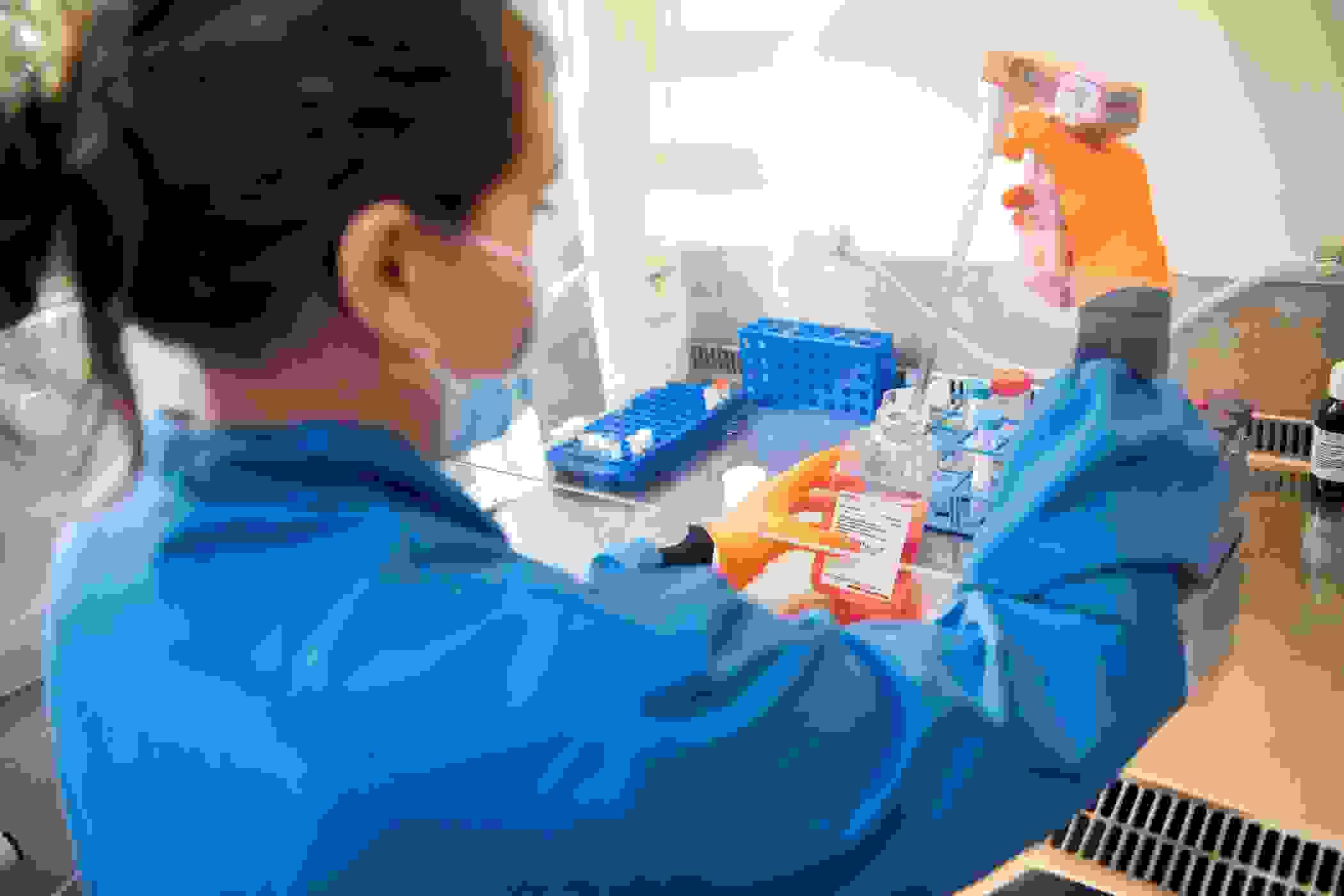 Laboratory assistant working with samples