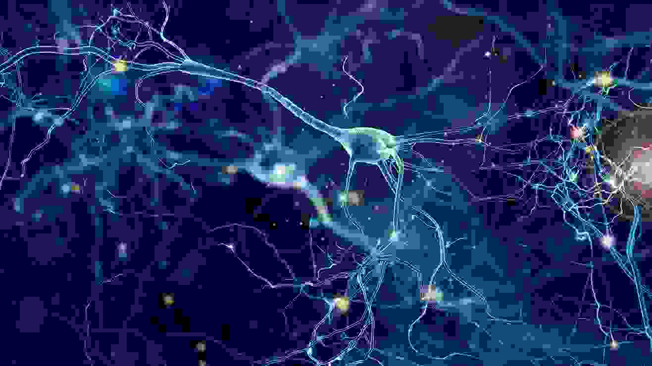 Graphic of nerve cells coloured blue