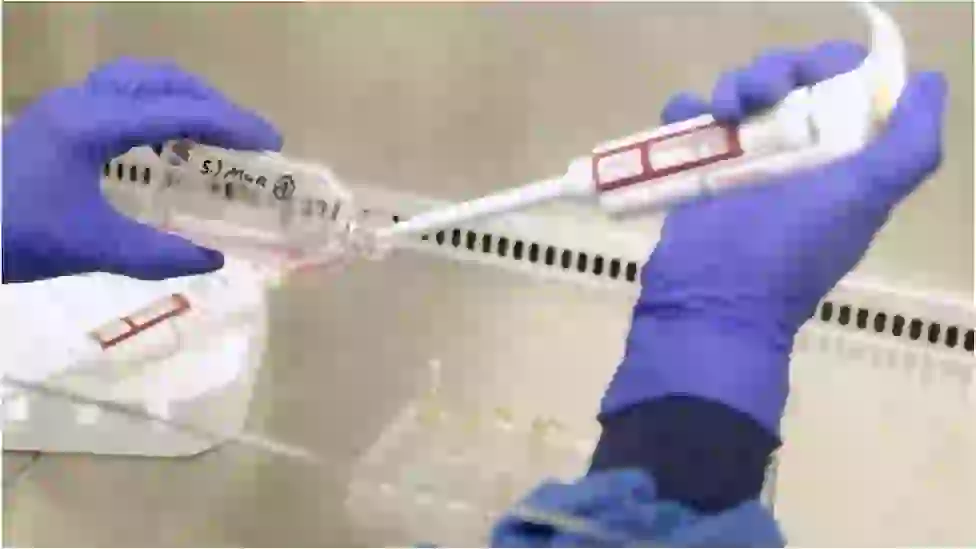 hands in disposable gloves extracting blood from test tube using syringe