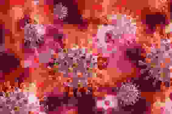 graphic showing microscopic view of red blood cells