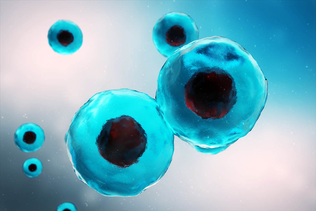Graphic of cells coloured blue with darker nuclei